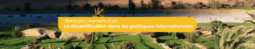 Bannière de la fiche n°3 de la collection "Repères pour comprendre et agir"